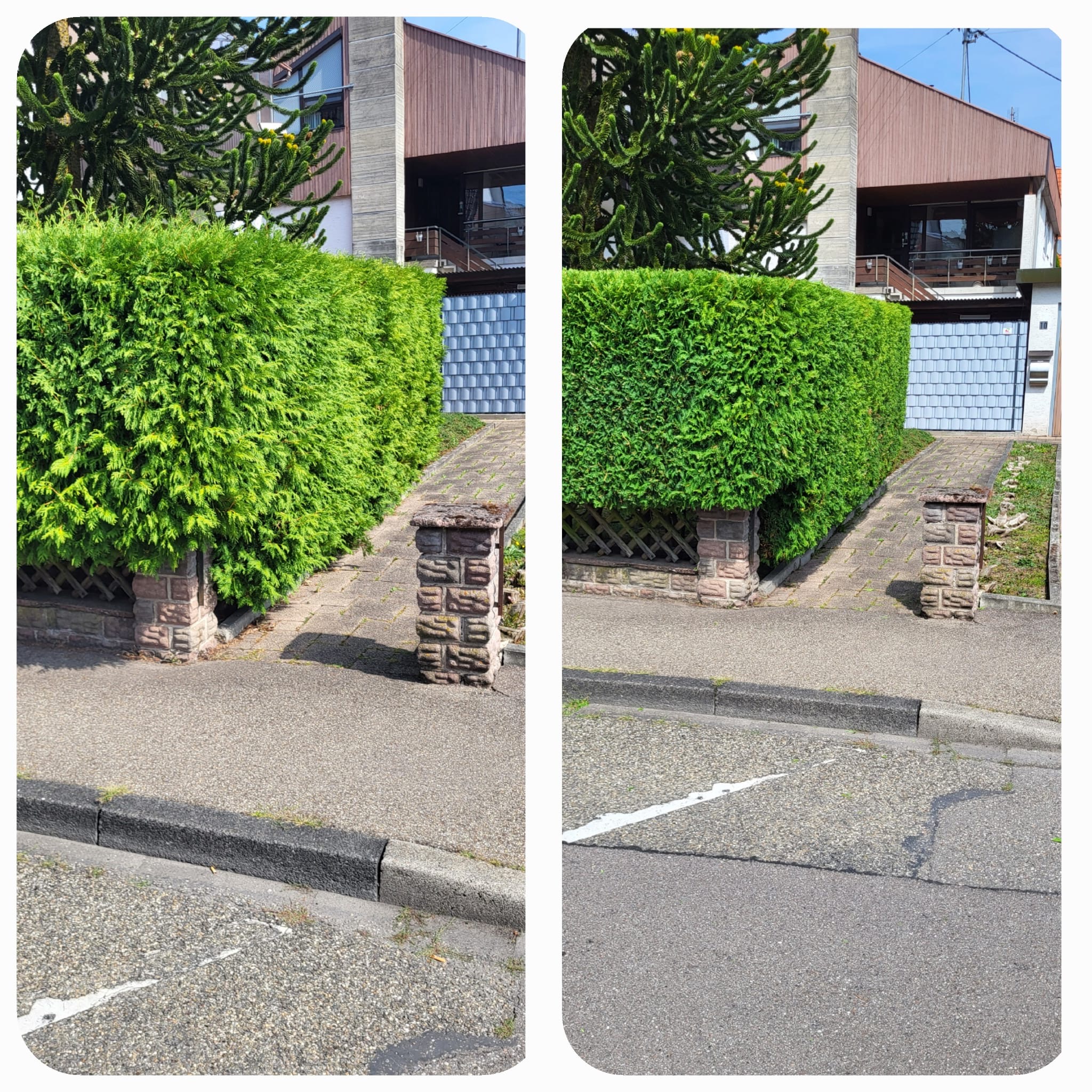 Ausrüstung & Pflege